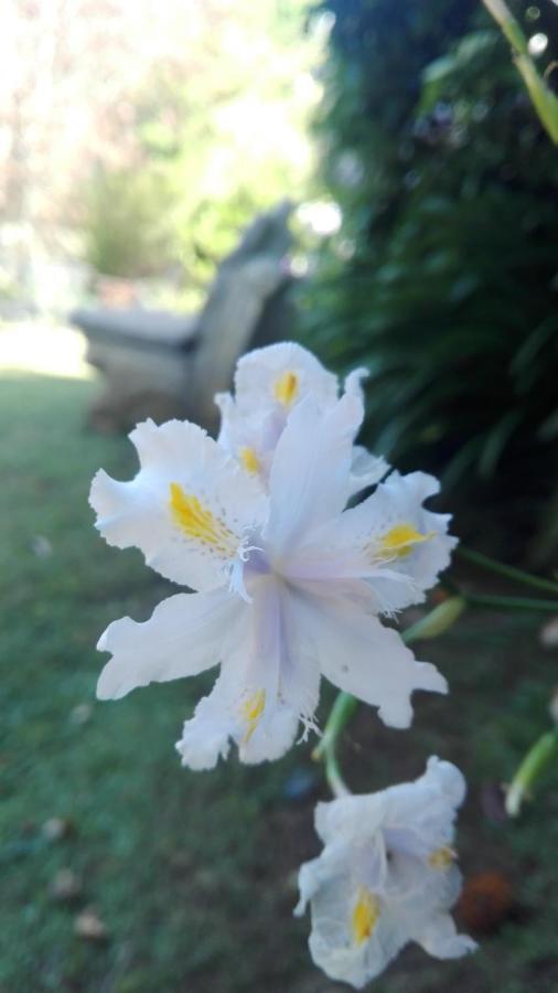 Country Lane Guesthouse Howick Luaran gambar